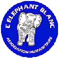 L’Elephant Blanc